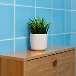 Lägenhet Divi Milano-buenos Aires Flat