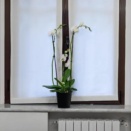 דירה Divi Milano-buenos Aires Flat *